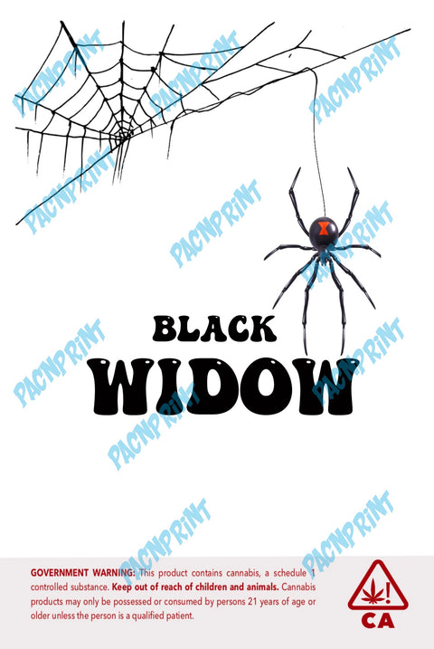 Black Widow